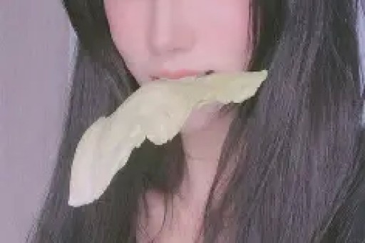 被歪曲和被损害的明星——李亚鹏-搜狐娱乐